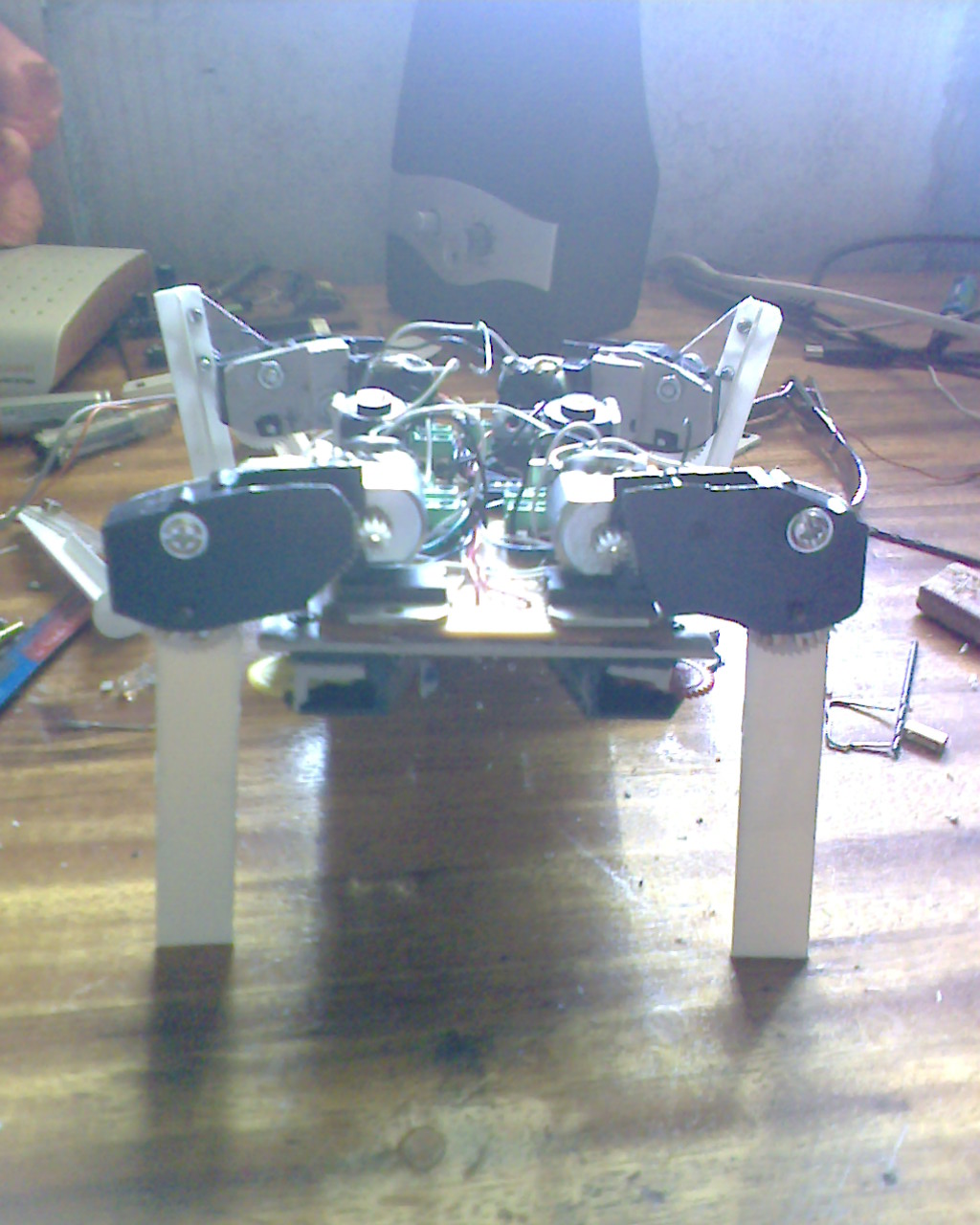IMG1359A.jpg