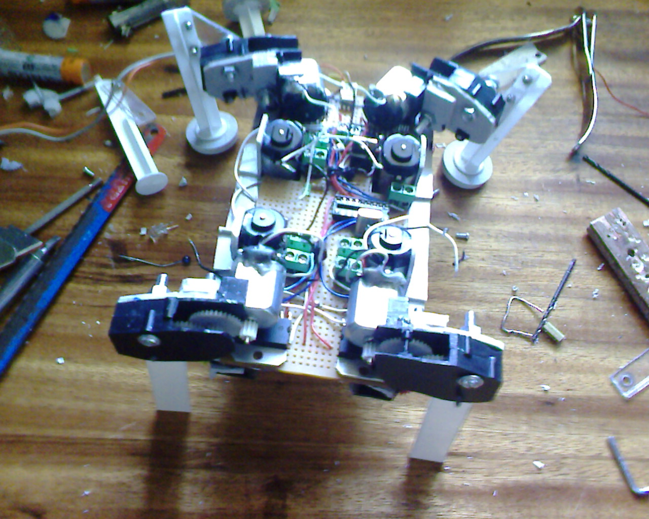 IMG1360A.jpg
