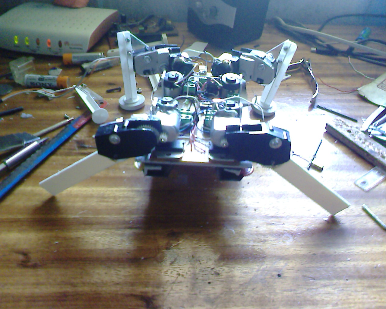 IMG1361A.jpg