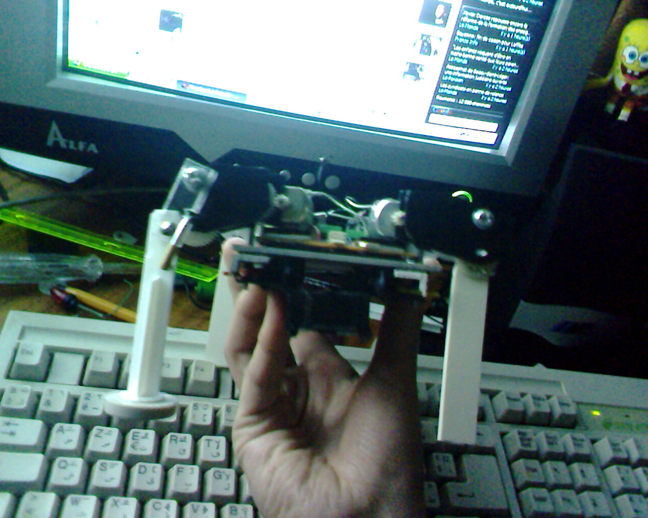 IMG1362A.jpg