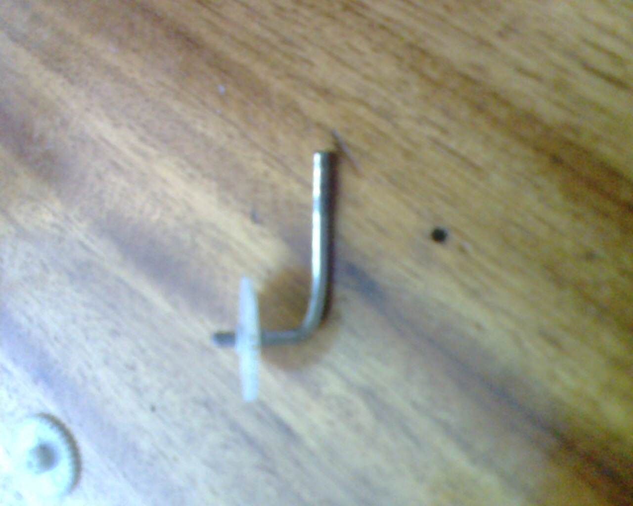 IMG1357A.jpg