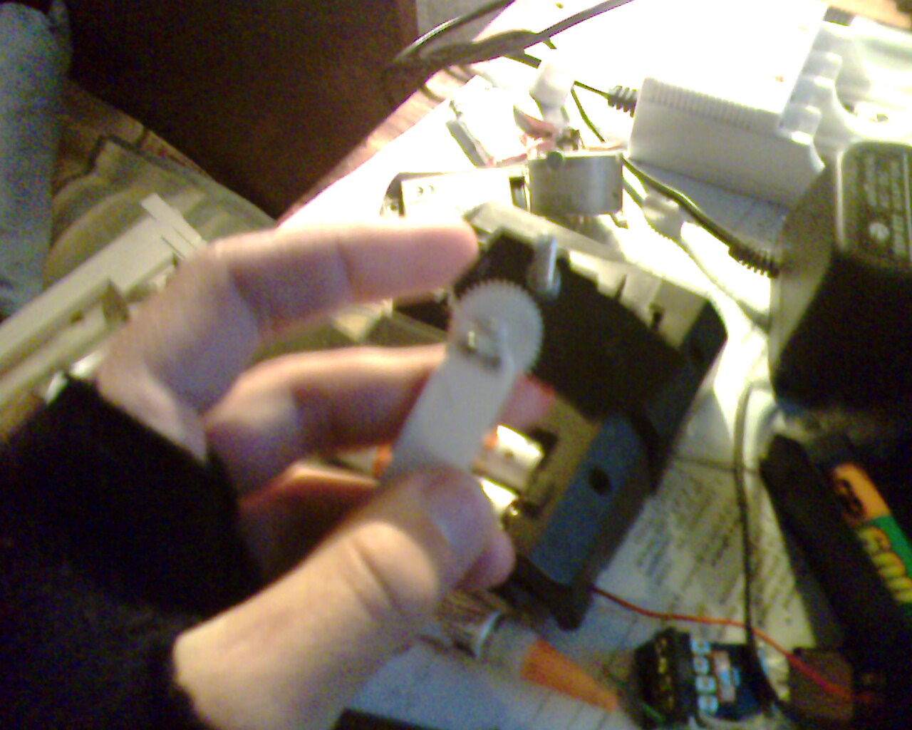 IMG1363A.jpg