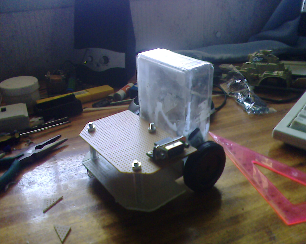 IMG1447A.jpg