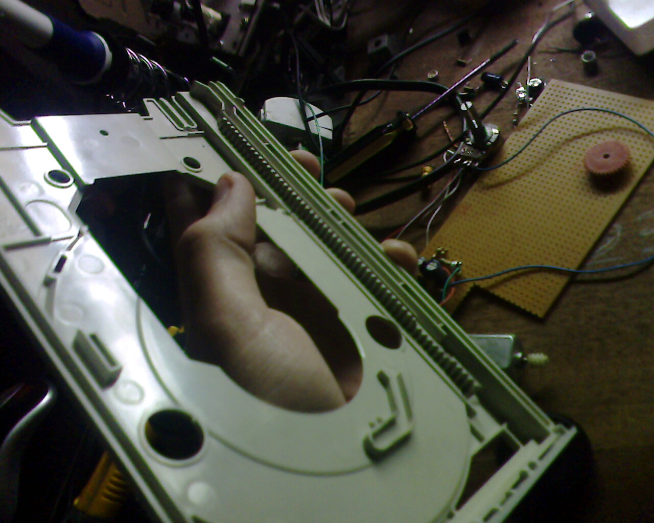 IMG2371A.jpg