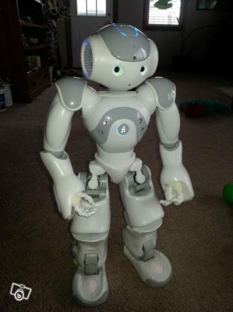 robot humanoide a vendre