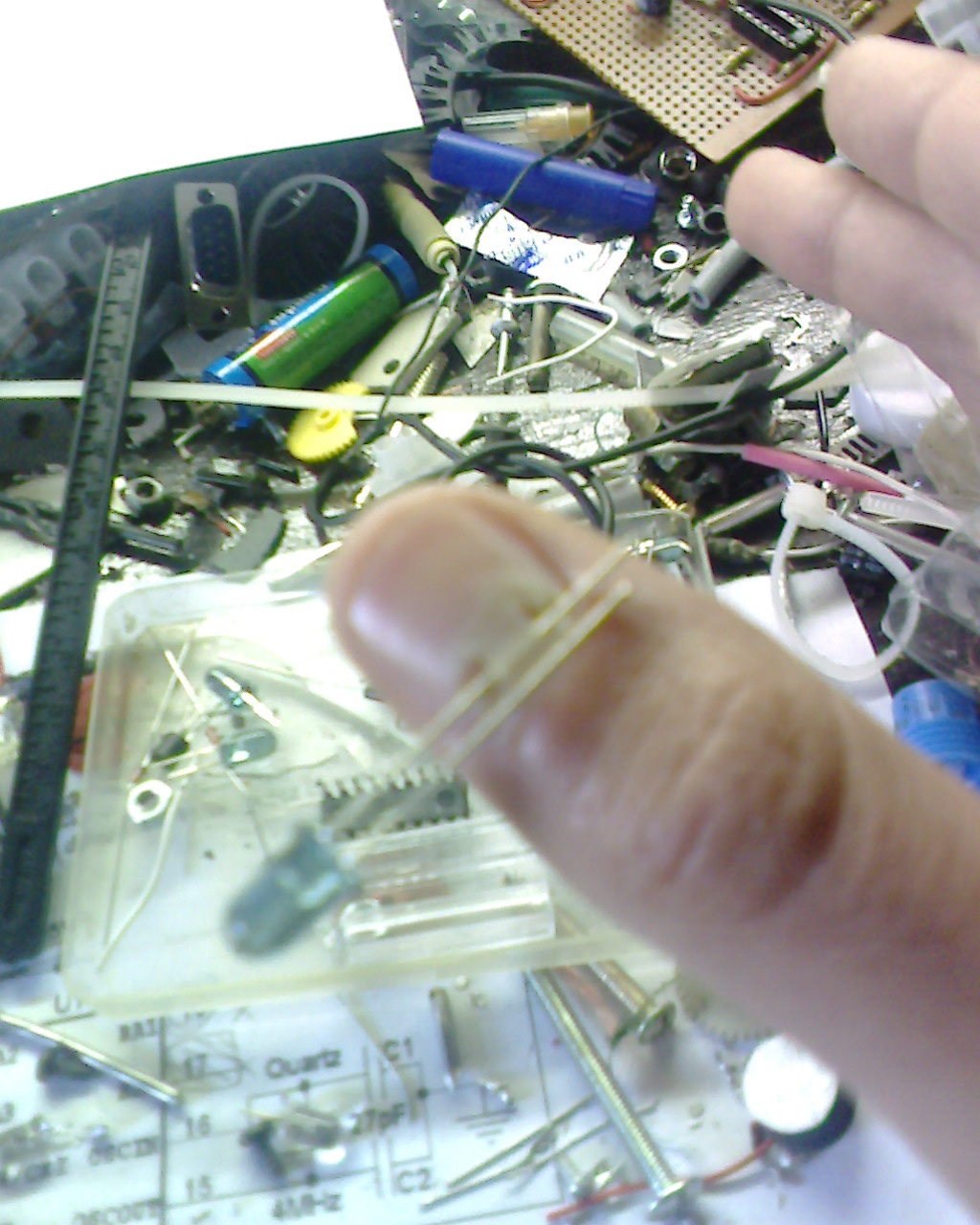 IMG1454A.jpg