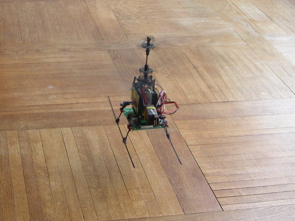 DSCN5951.jpg