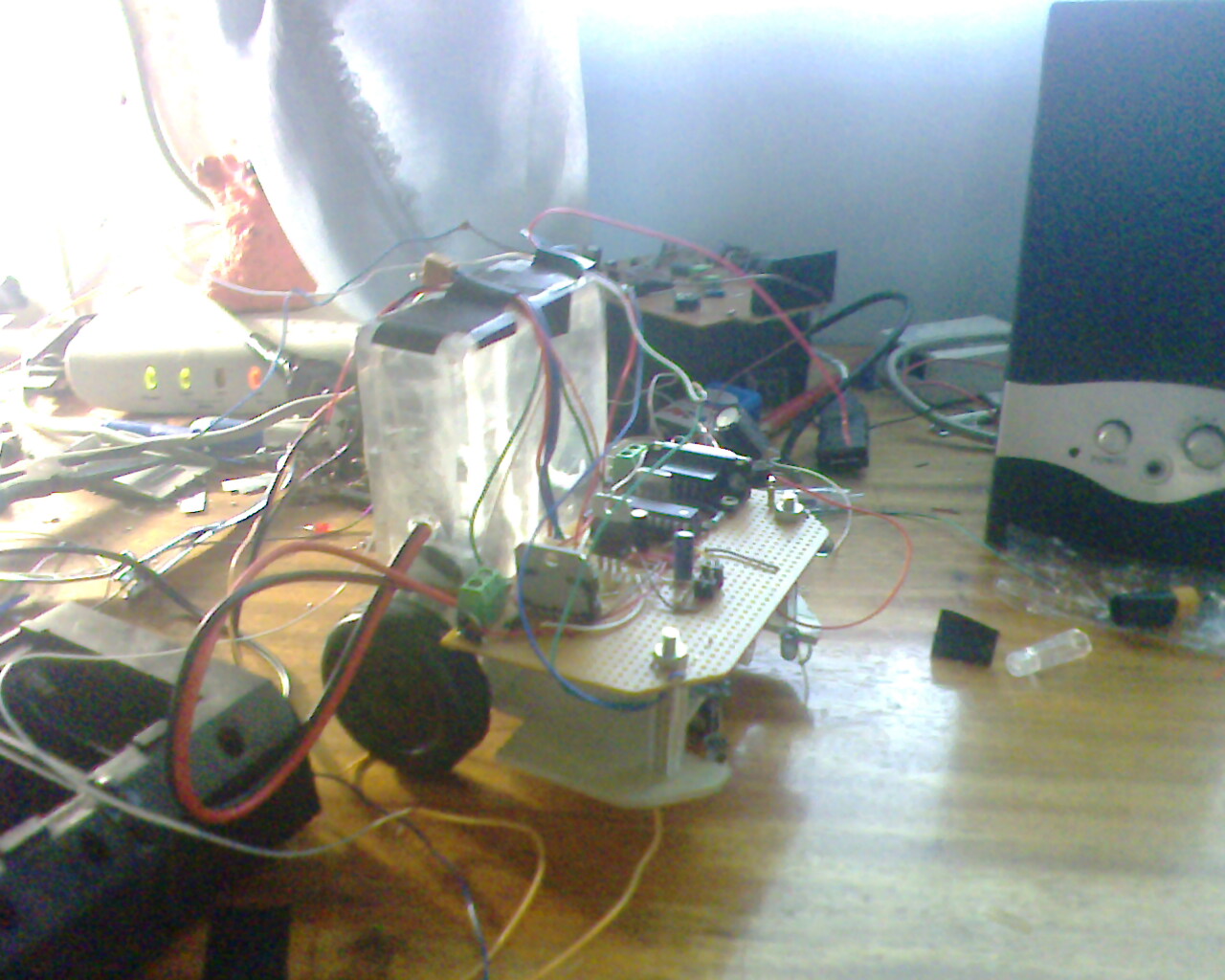 IMG1478A.jpg
