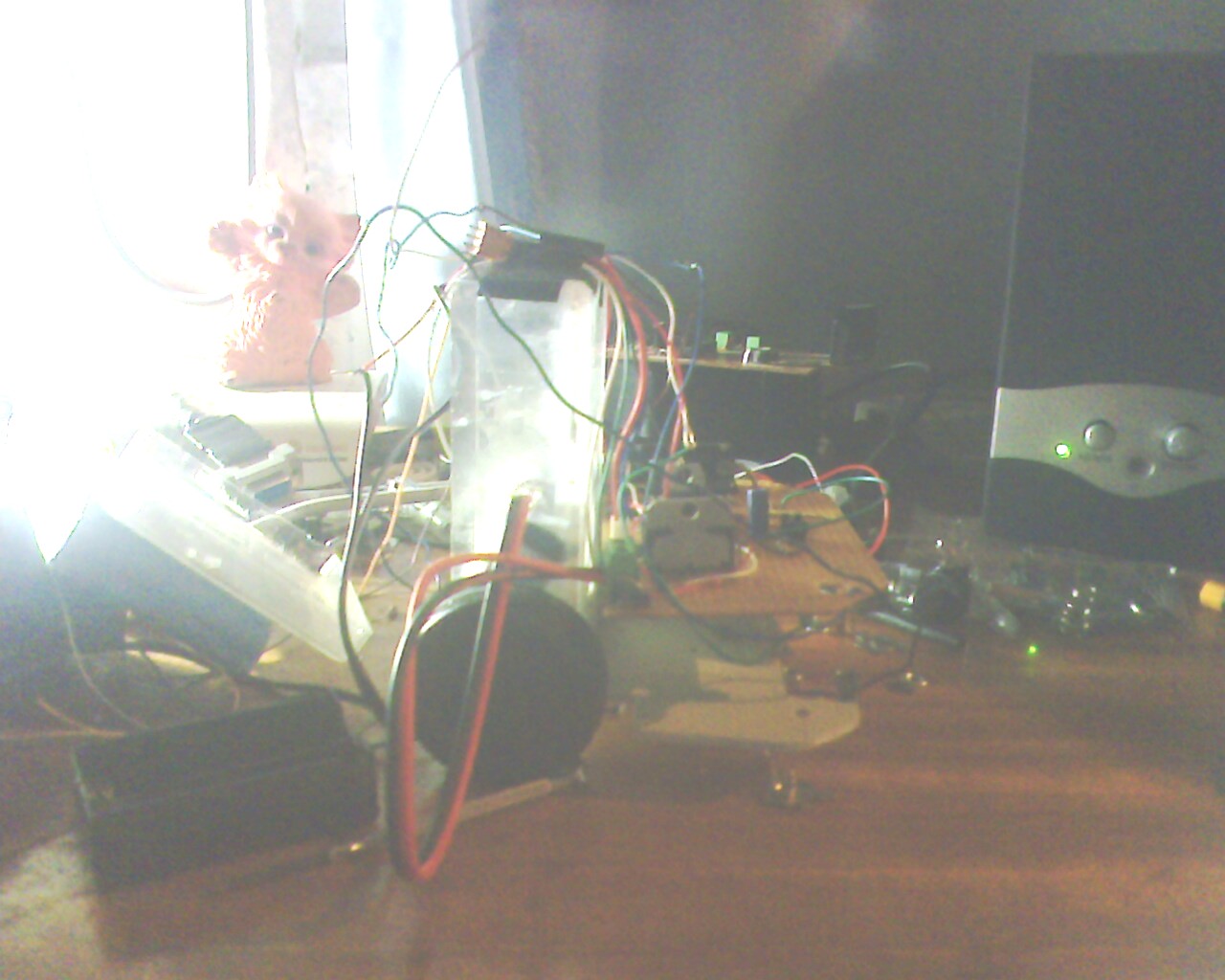 IMG1480A.jpg
