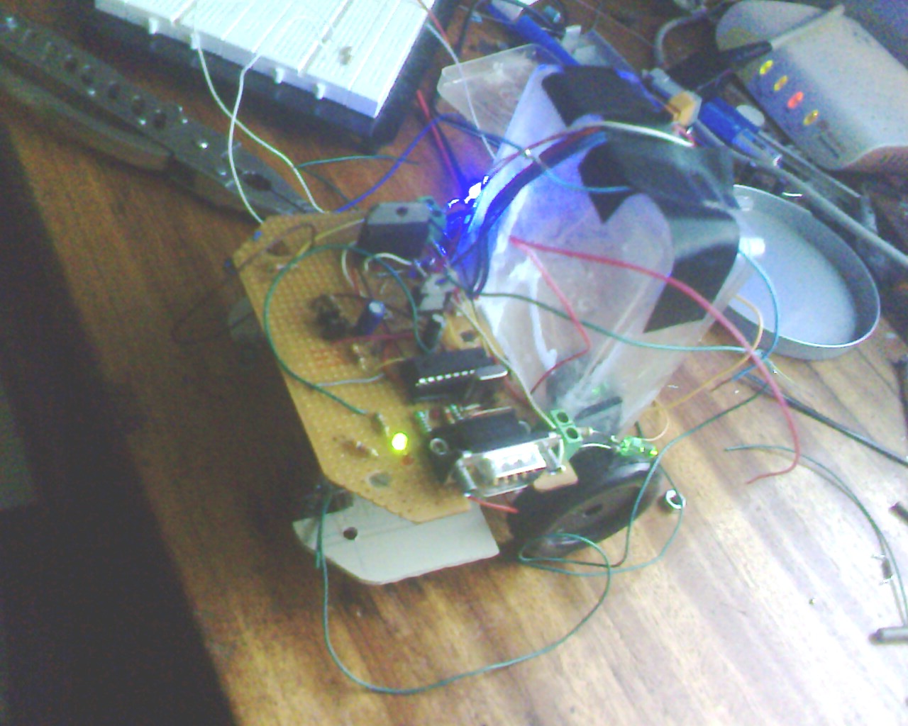 IMG1484A.jpg