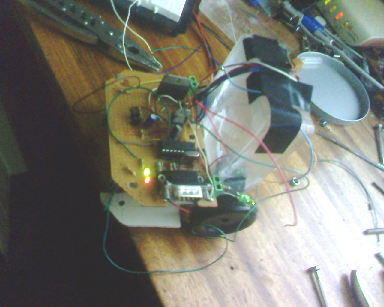 IMG1486A.jpg