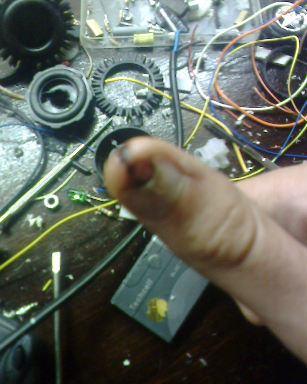 IMG1582A.jpg