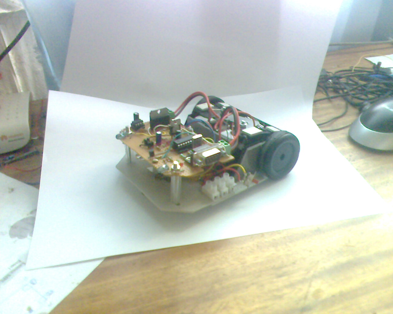 IMG1645A.jpg