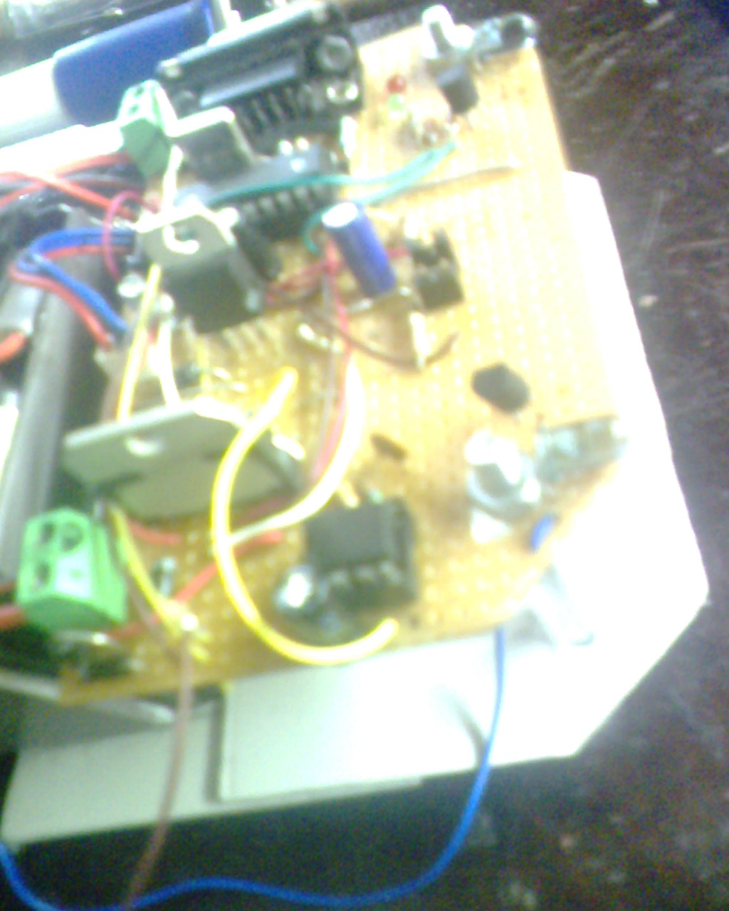 IMG1628A.jpg