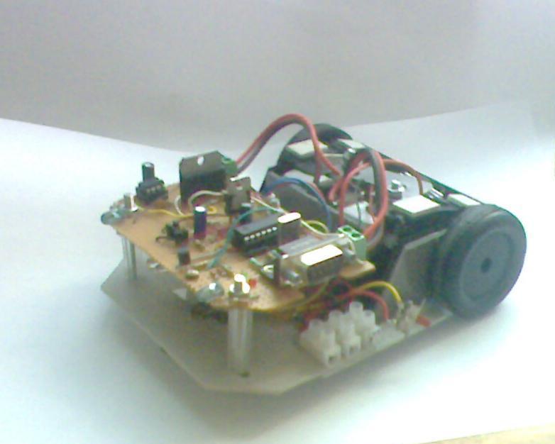 IMG1645A.jpg