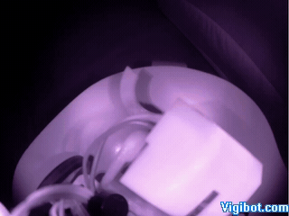 1577636015222_Pierro_Lardon.gif