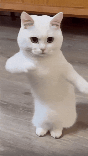 676e05c6d065c7d504418085ea43c694.gif