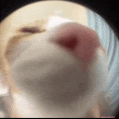 drooling_face_839f88d0.gif
