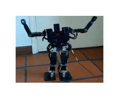 ROBOPAL