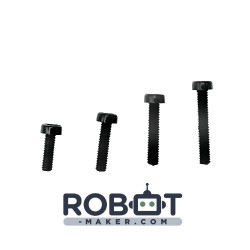 Lot de vis M2 plastique