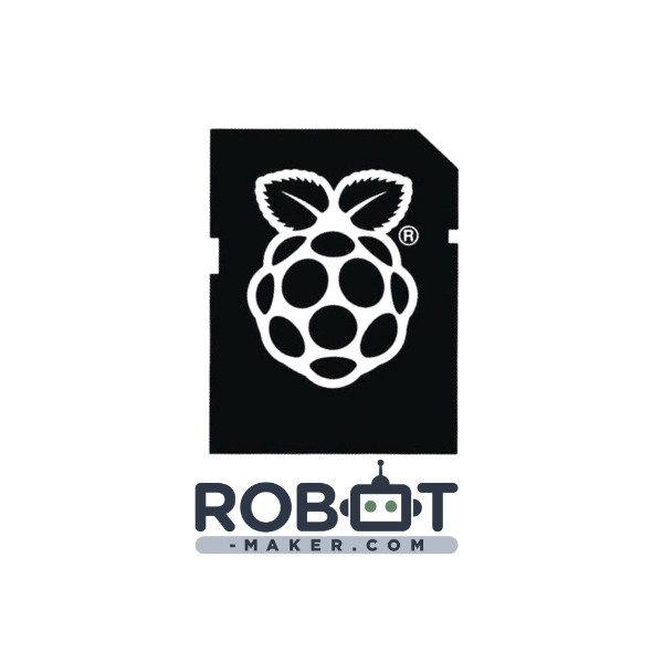 Carte micro SD 8Go Noobs