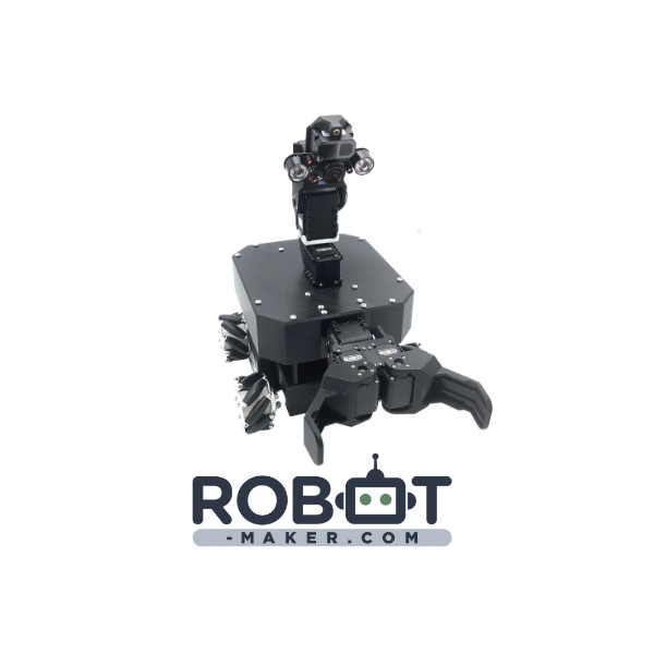 Robot Mecanum Vigibot