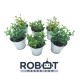 Lot de 6 plantes avec leur pot 0.1L  pour coupe de Robotique