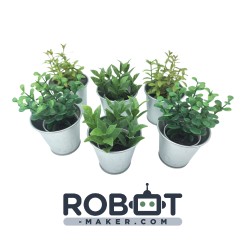 Lot de 6 plantes avec leur pot 0.1L  pour coupe de Robotique