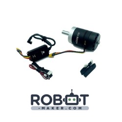 Motoreducteur brushless P19 M3508 avec contrôleur C620