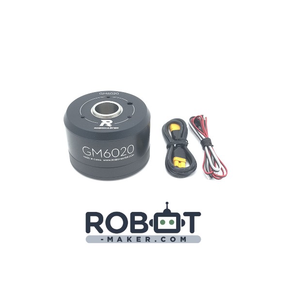 moteur brushless GM6020 RobotMaster