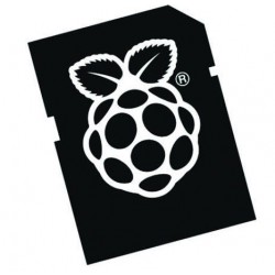 Carte micro SD Noobs pour Raspberry Pi