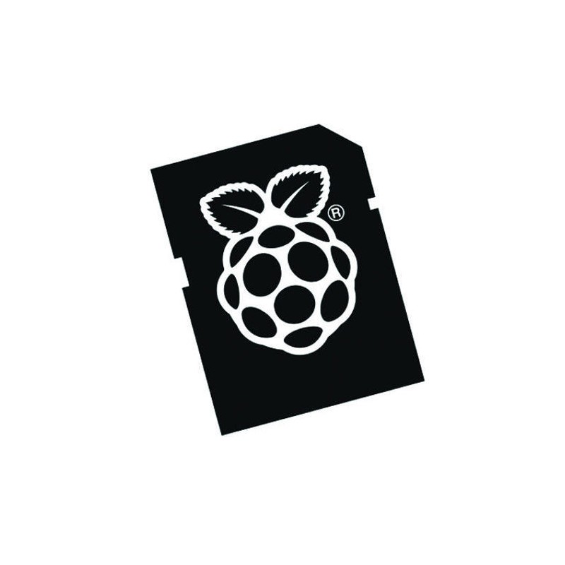 Carte micro SD Noobs pour Raspberry Pi